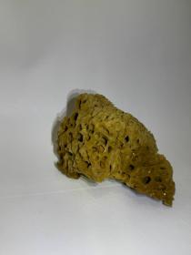 EPONGE MARIN DECORATIONS